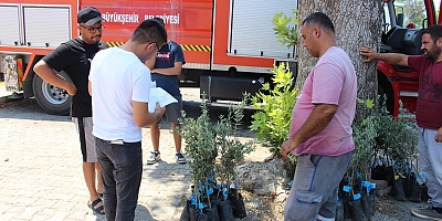 19 İLÇE'DE BÜYÜŞEHİR ZEYTİN SEFERBERLİĞİ BAŞLATTI