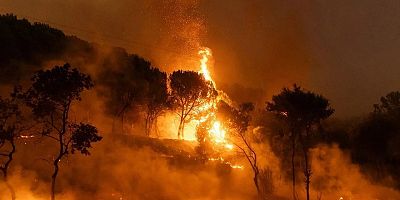 ANTALYA SERİK'TE ORMAN YANGINI KONTROL ALTINA ALINDI