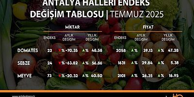 ANTALYA TİCARET BORSASI TEMMUZ AYI HAL ENDEKSİNİ AÇIKLADI