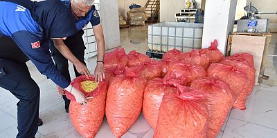 KEPEZ’DE SAĞLIKSIZ ÜRETİME GEÇİT YOK: 1,5 TON PATATES İMHA EDİLDİ
