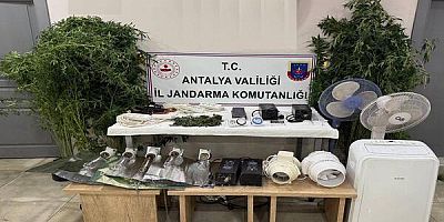MANAVGAT'TA UYUŞTURUCU OPERASYONUNDA ÇOK SAYIDA KENEVİR VE ESRAR ELE GEÇİRİLDİ