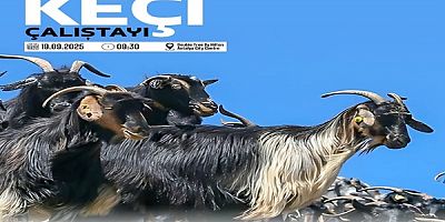 SÜRDÜRÜLEBİLİR HAYVANCILIK POLİTİKASI
