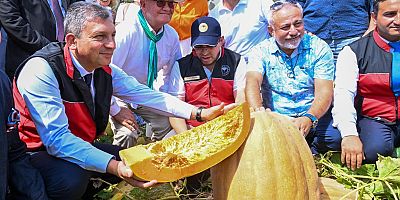 TARLADAN DÜNYA SOFRASINA DÖŞEMEALTI CAMİLİ BAL KABAĞI