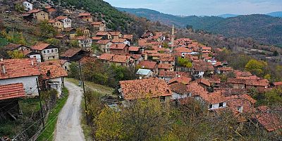 TÜRKİYE'DE ŞEHİRLEŞME ARTIYOR, KIRSAL NÜFUS AZALIYOR